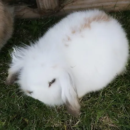 Sygard Gospodarstwo agroturystyczne