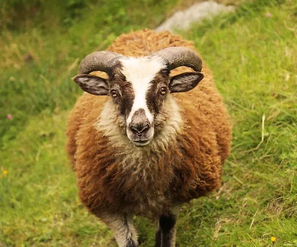 Sygard Alloggio per agriturismo